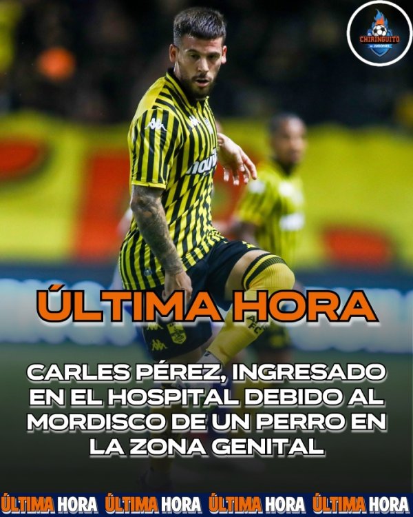 “蛋蛋的忧伤”！巴萨旧将佩雷斯为狗拉架，生殖器被咬伤入院