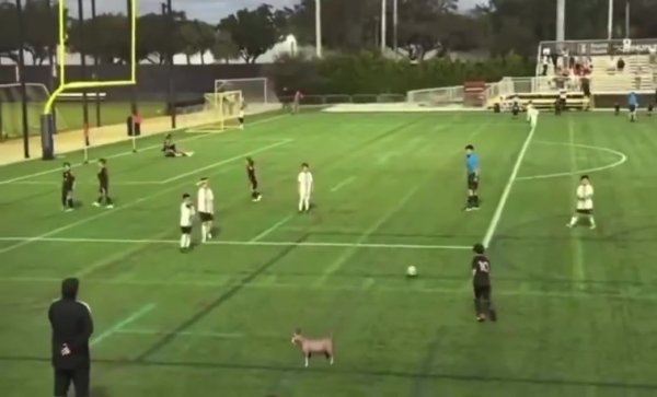 传承！梅西的三犬子ciro在迈阿密梯队身披10号，恣意球径直破门